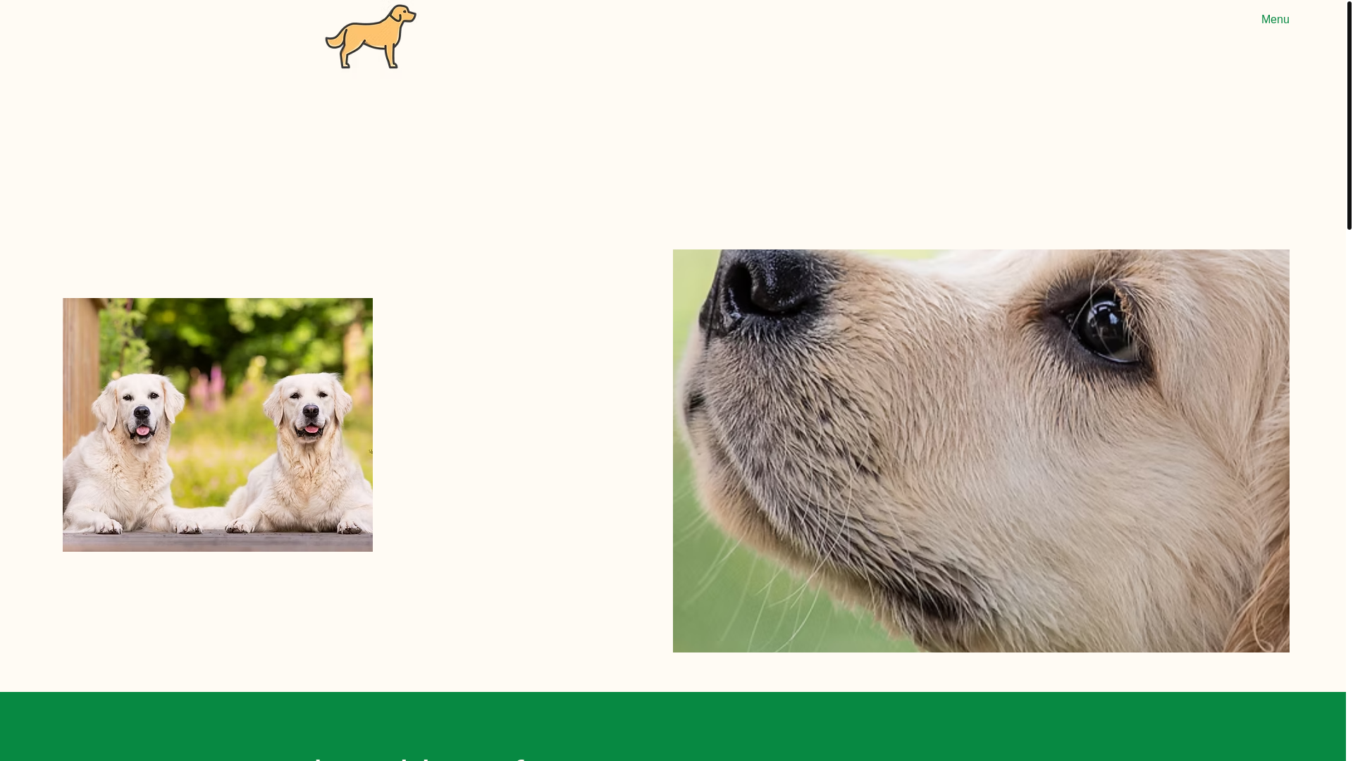 website screenshot of https://vom-elmrand.de/