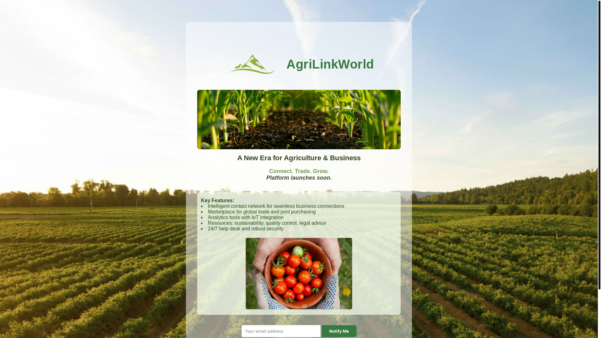 website screenshot of https://agrilinkworld.pages.dev/