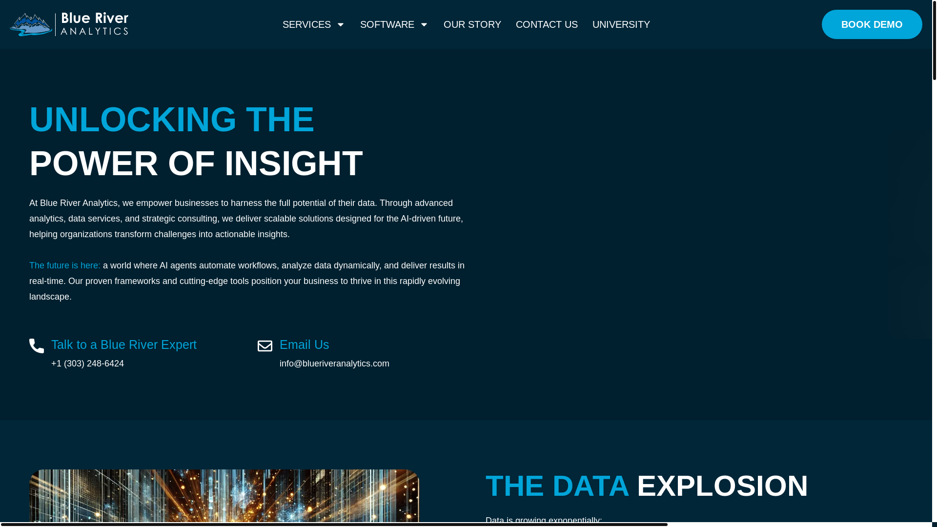 website screenshot of https://useblueriveranalytics.com/
