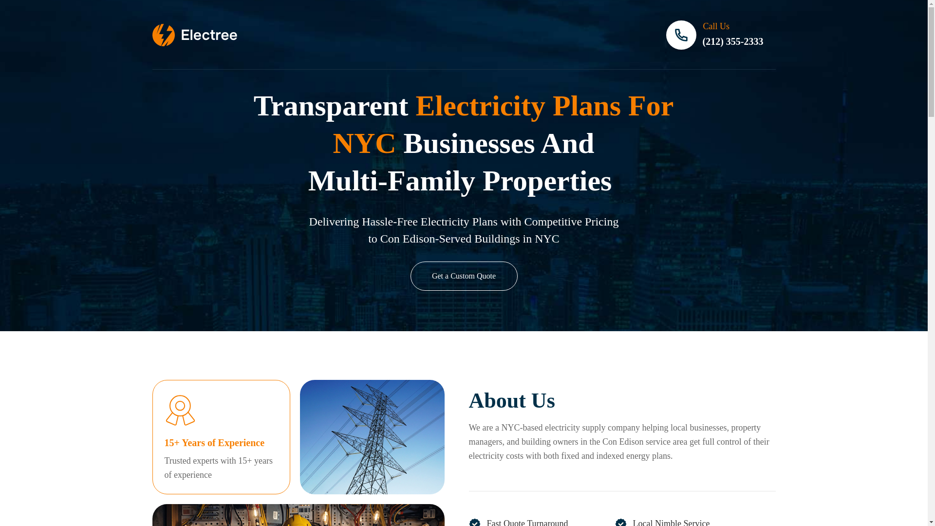 website screenshot of https://getelectreenyc.com/