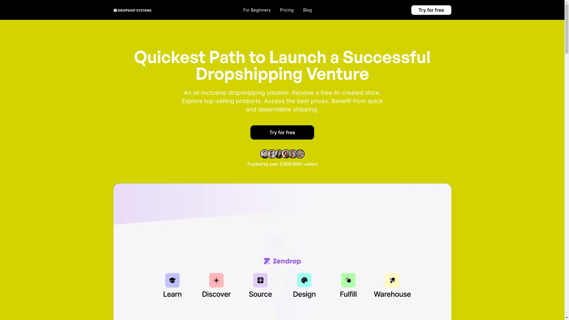 website screenshot of https://dropshipsystems.org/