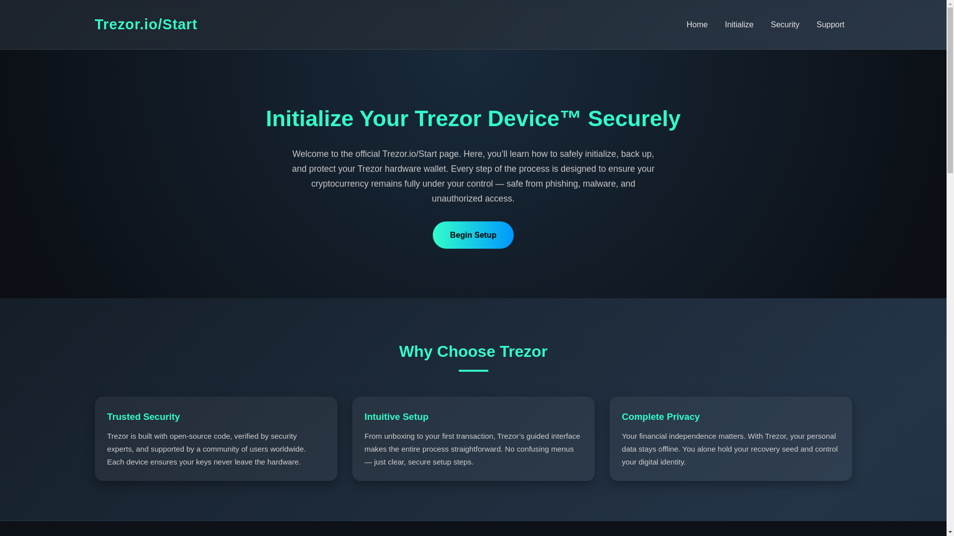 website screenshot of https://startt--terzor-io.pages.dev/