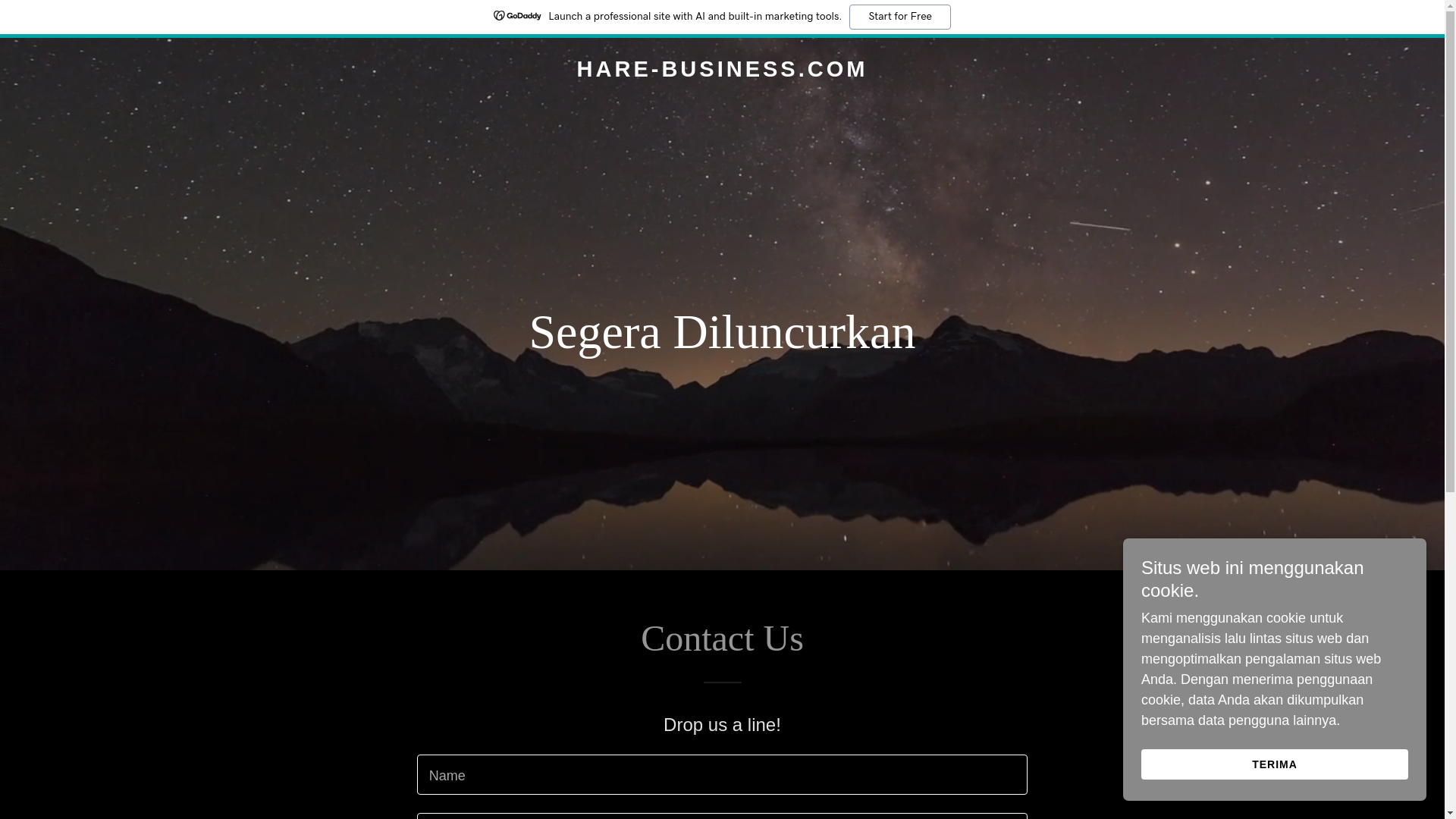 website screenshot of https://hare-business.com/