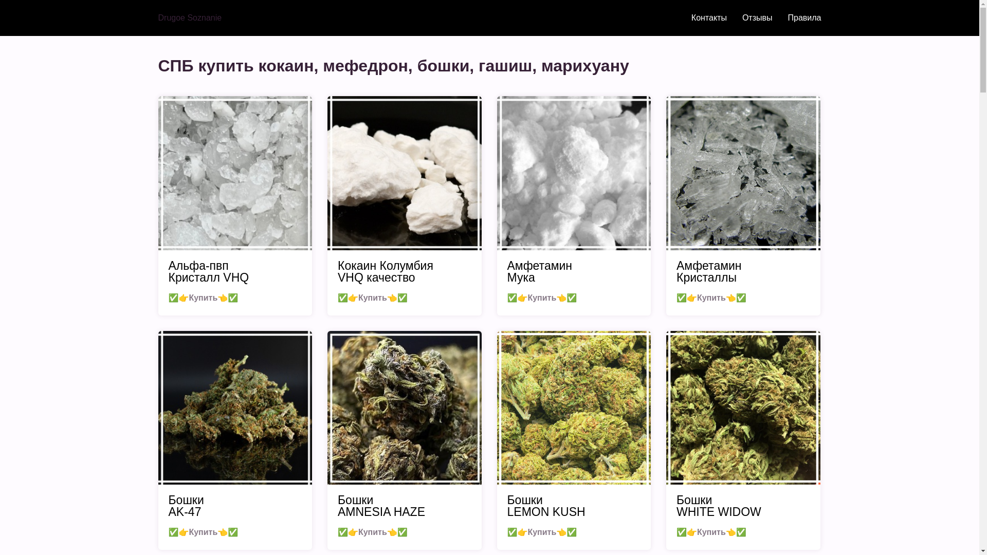 website screenshot of https://peterburgberej.ru/