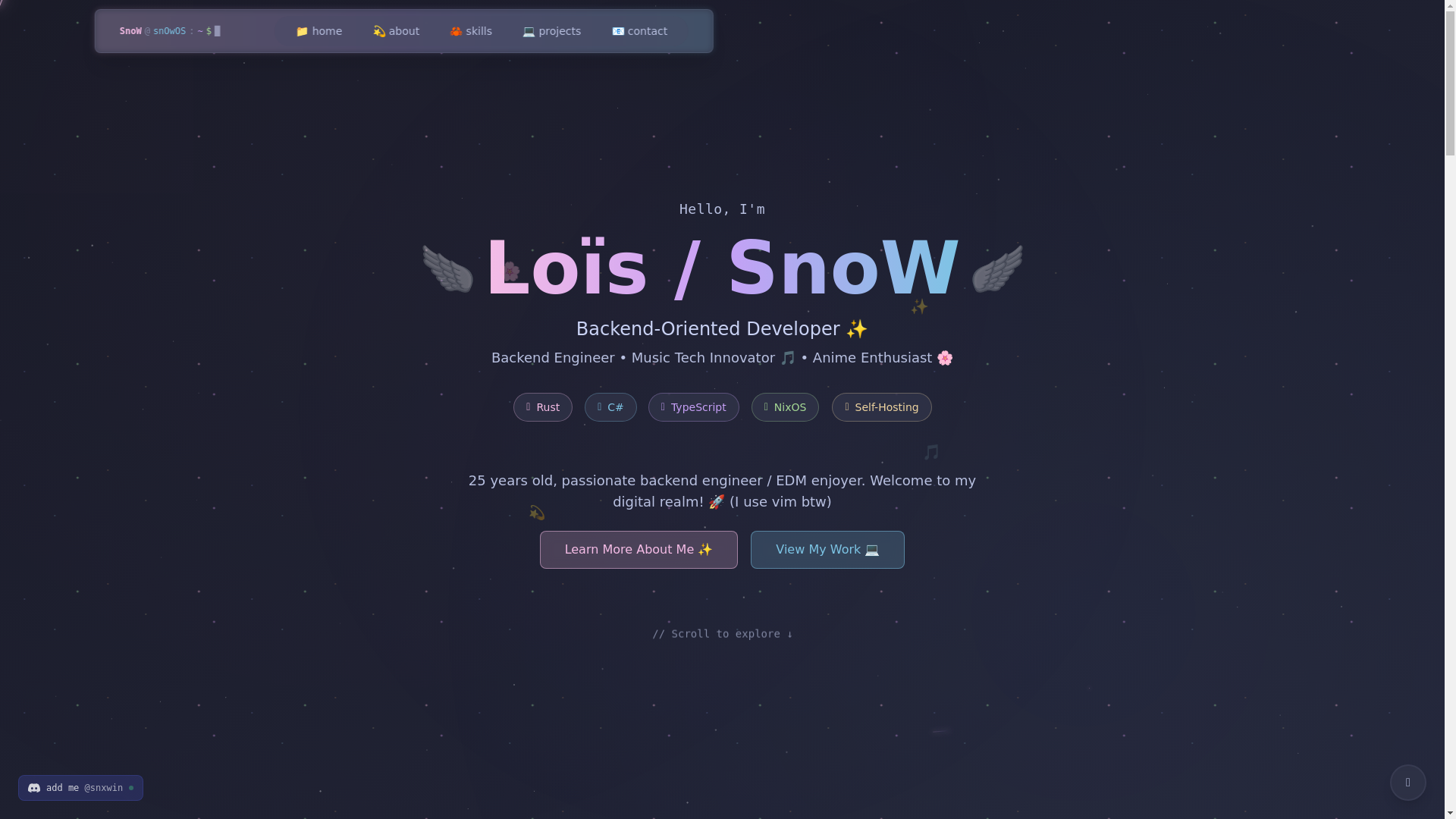 website screenshot of https://snow-website-2qa.pages.dev/