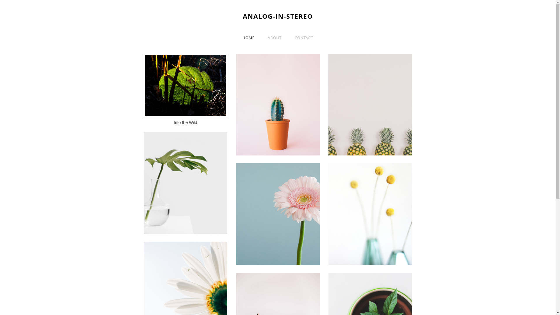 website screenshot of https://analog-in-stereo.com/