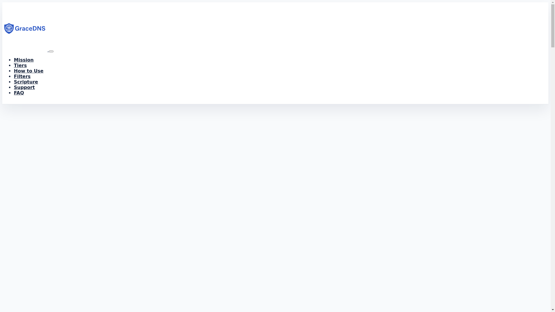 website screenshot of https://gracedns.pages.dev/