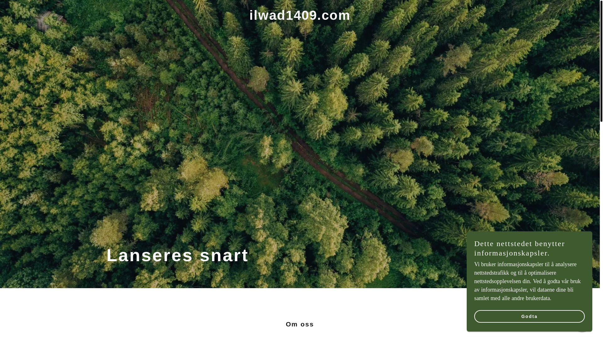 website screenshot of https://ilwad1409.com/