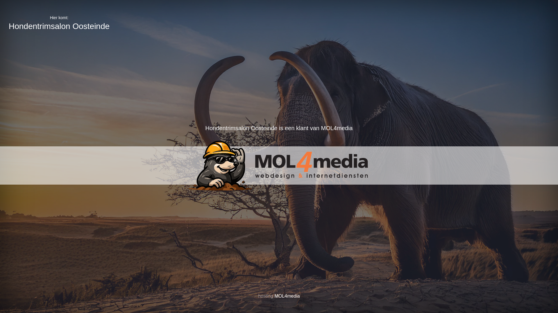 website screenshot of https://hondentrimsalonoosteinde.nl/