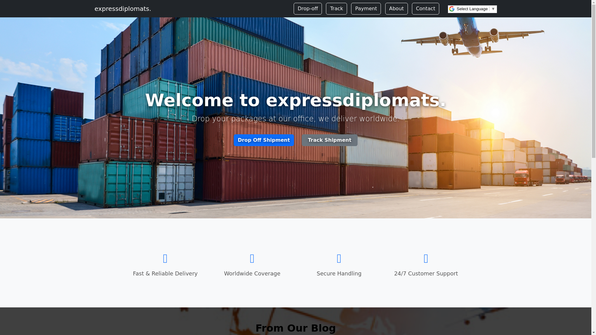 website screenshot of https://expressdiplomats.us/