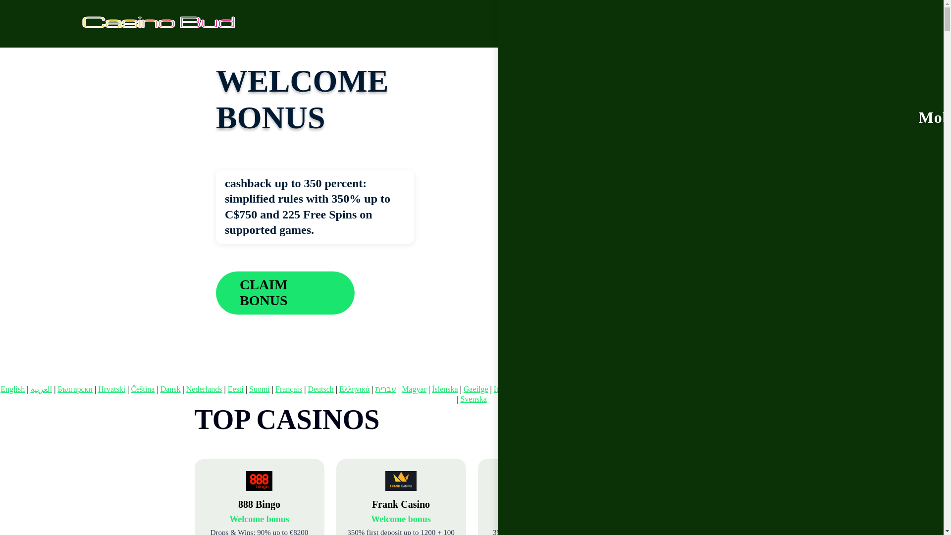 website screenshot of https://casinobud2.bond/