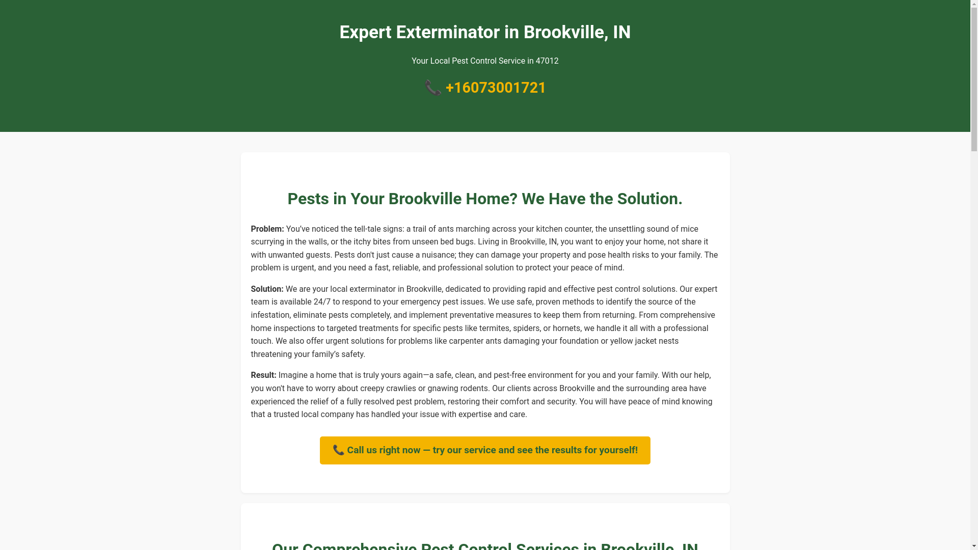 website screenshot of https://exterminator-brookville-in.pages.dev/