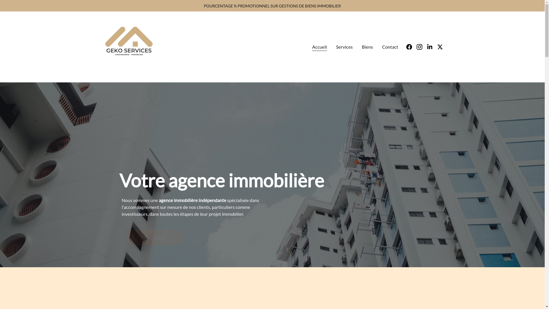 website screenshot of https://gekoservices.online/