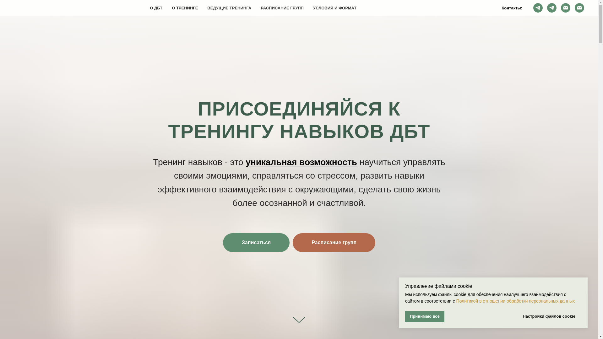 website screenshot of https://wise-dbt.ru/