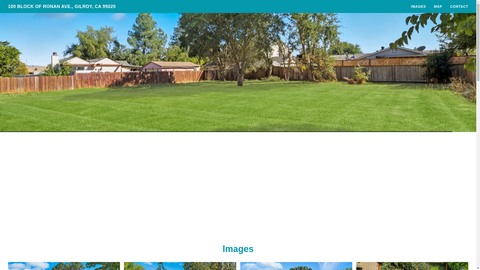website screenshot of https://100blockofronanave.com/
