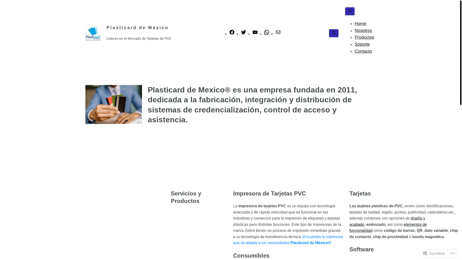 website screenshot of https://plasticardmexico.mx/