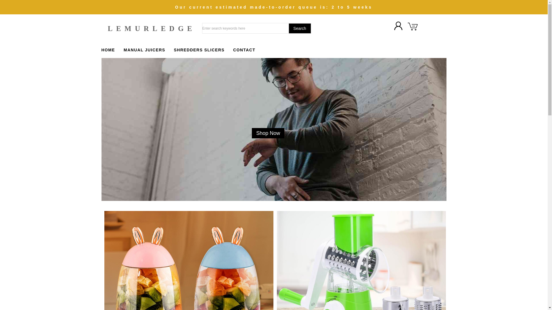 website screenshot of https://lemurledge.top/