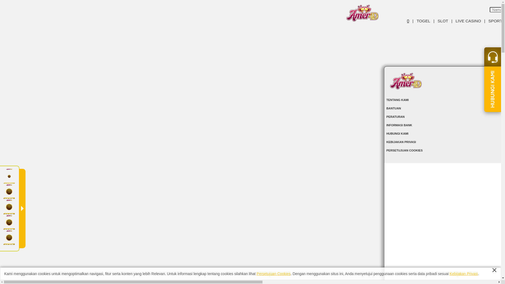 website screenshot of https://amercepat.com/