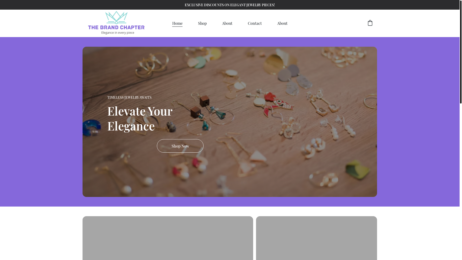 website screenshot of https://thebrandchapter.store/