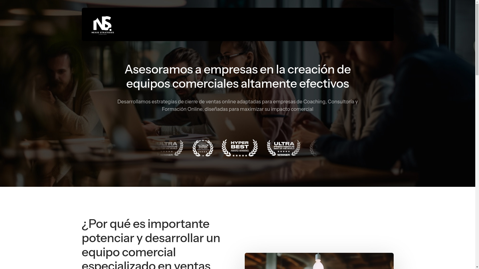 website screenshot of https://nexustrategies.net/