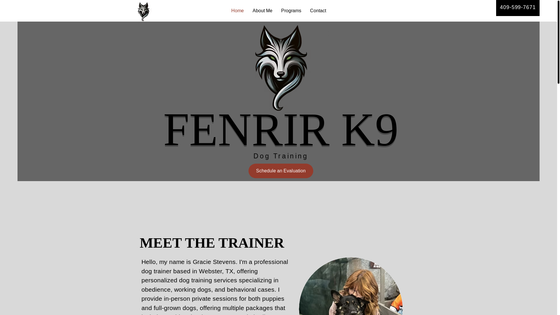 website screenshot of https://shirepawsdogtraining.com/