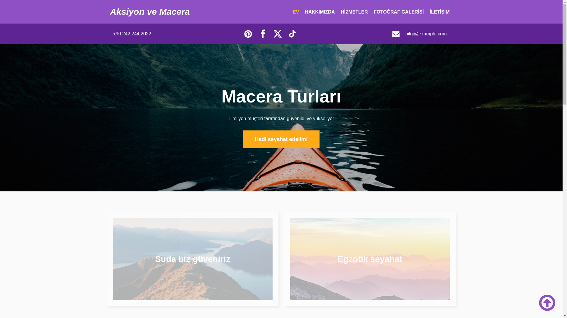 website screenshot of https://voyanza.com.tr/