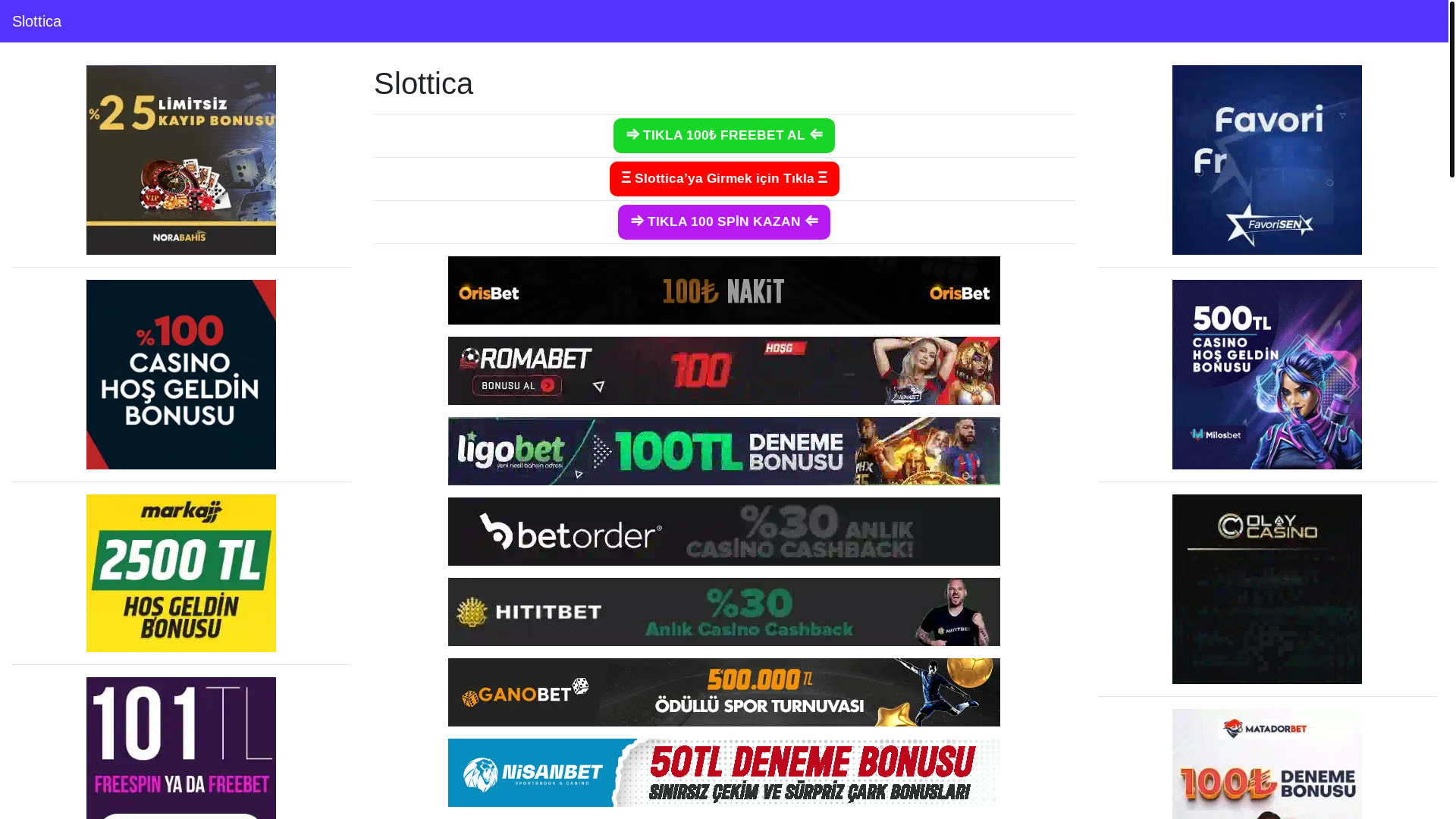 website screenshot of https://slotticagiris.top