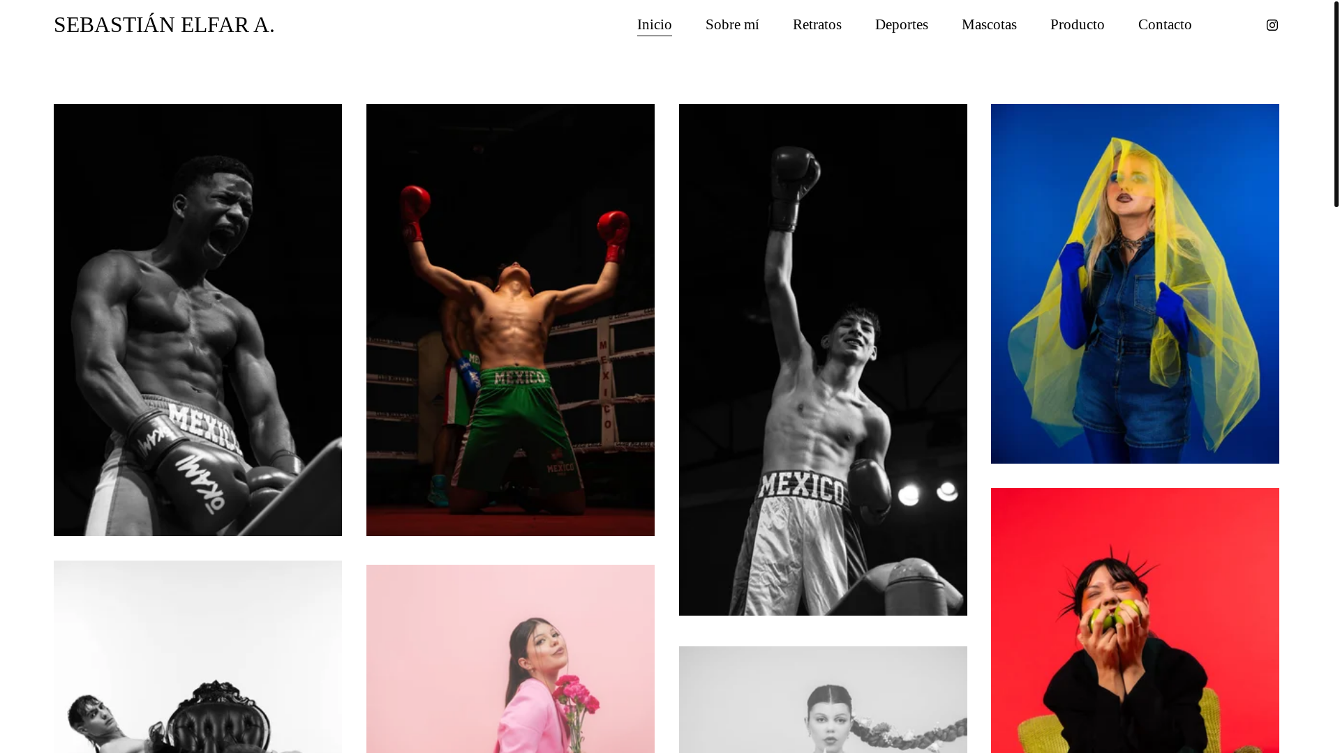 website screenshot of https://sebastianelfar.com/