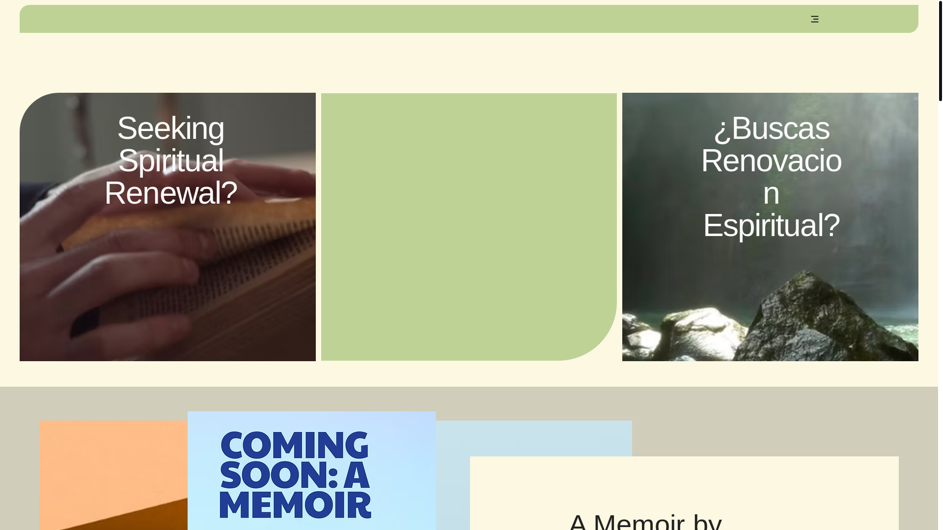 website screenshot of https://revesparza.com/