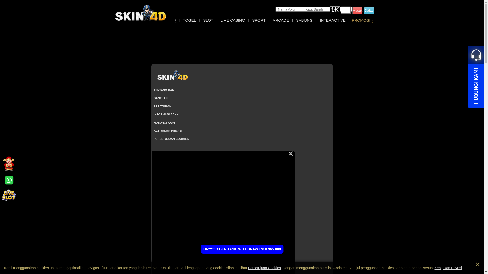 website screenshot of https://skin4dnova.top/