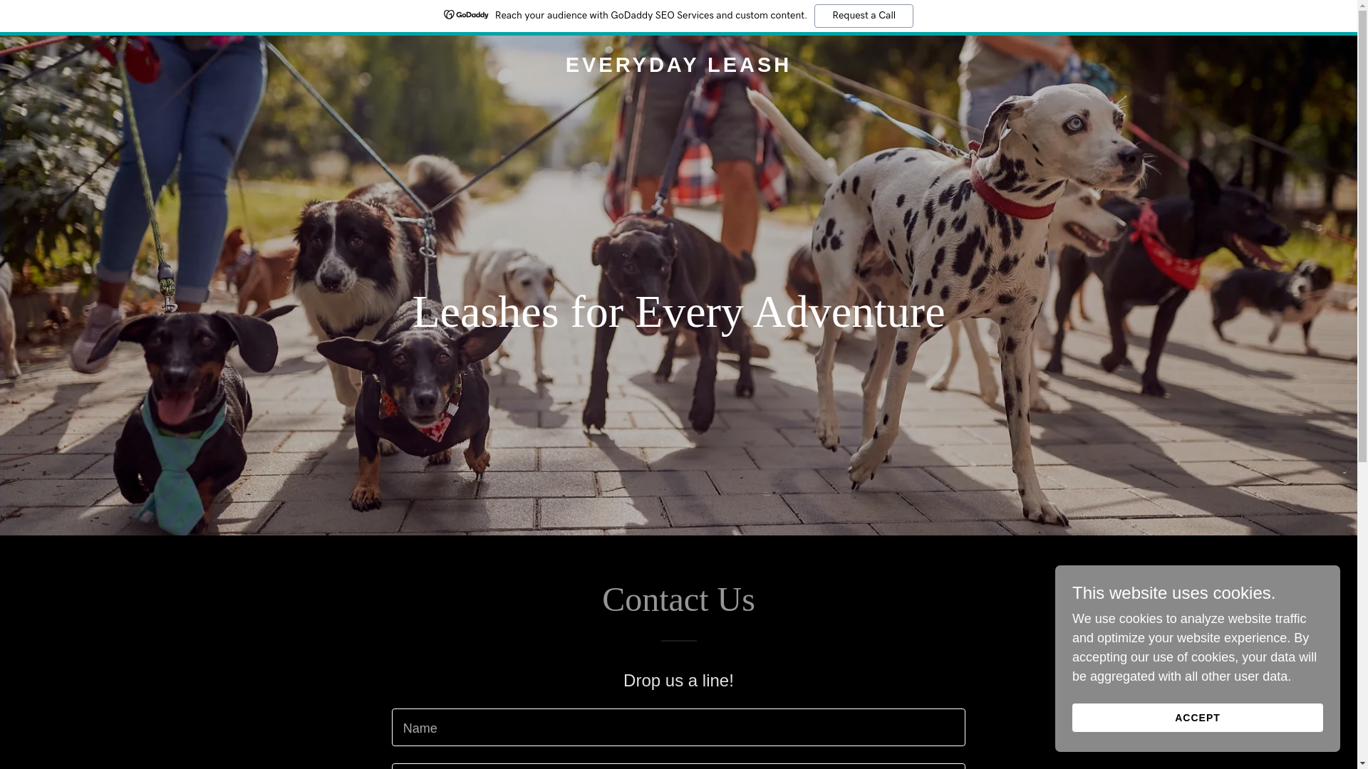 website screenshot of https://everydayleash.store/
