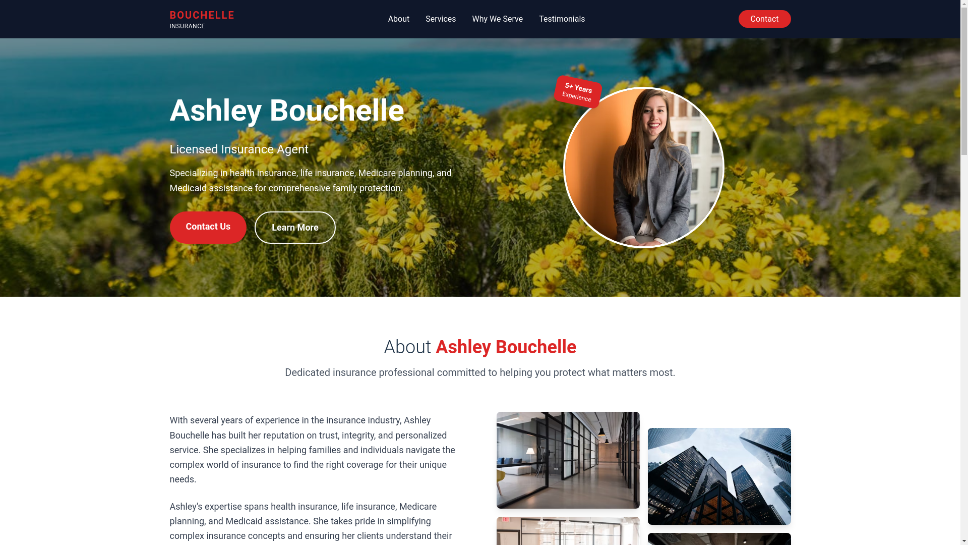 website screenshot of https://ashleybwithnasb.com/