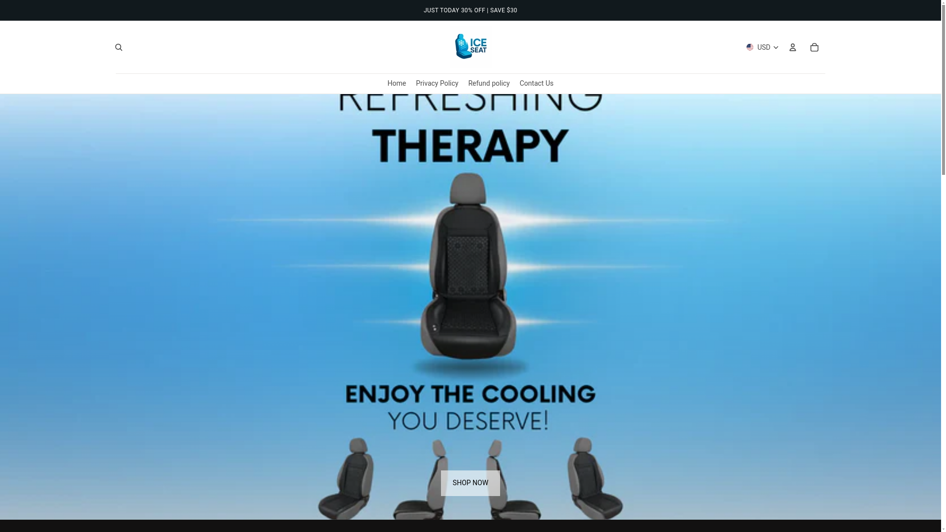 website screenshot of https://iceseats.shop/