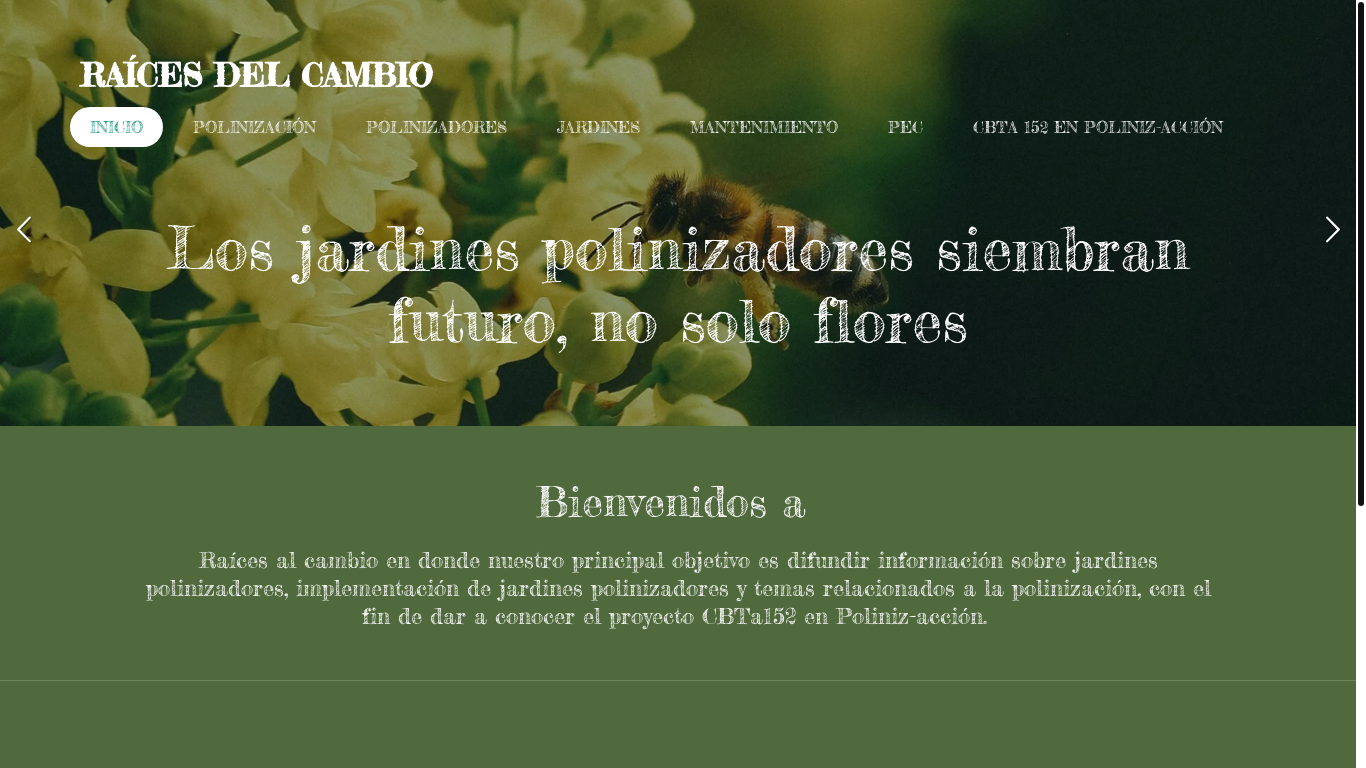 website screenshot of https://raicesdelcambio.org.mx/