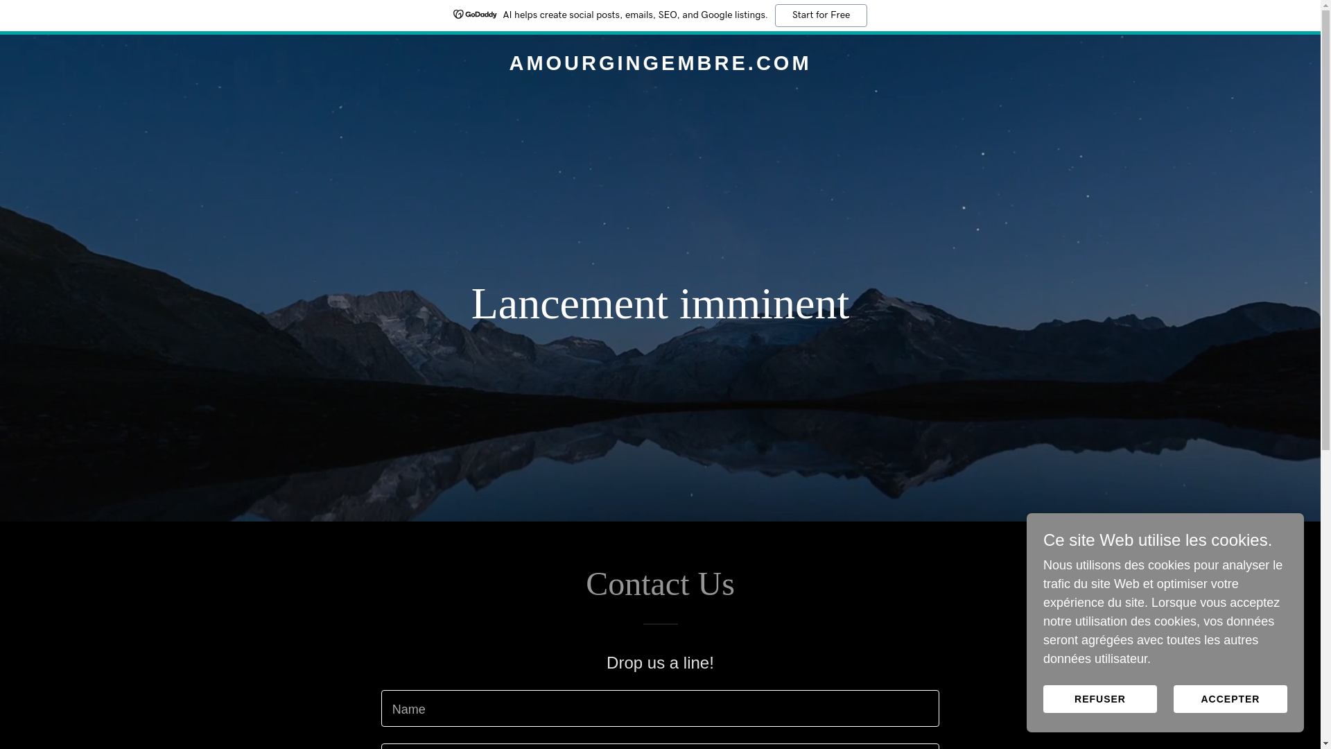 website screenshot of https://amourgingembre.com/