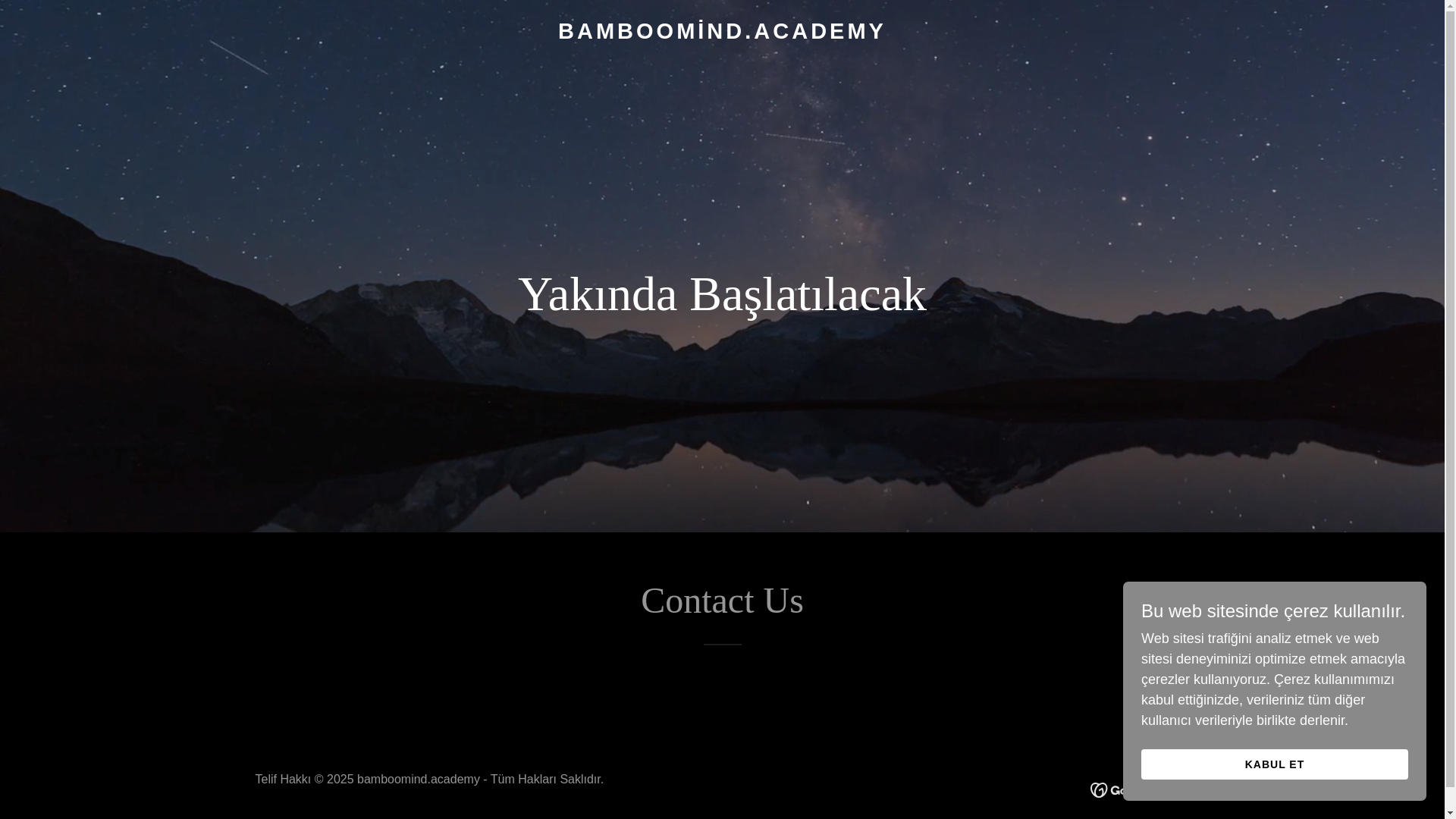 website screenshot of https://bamboomind.academy/
