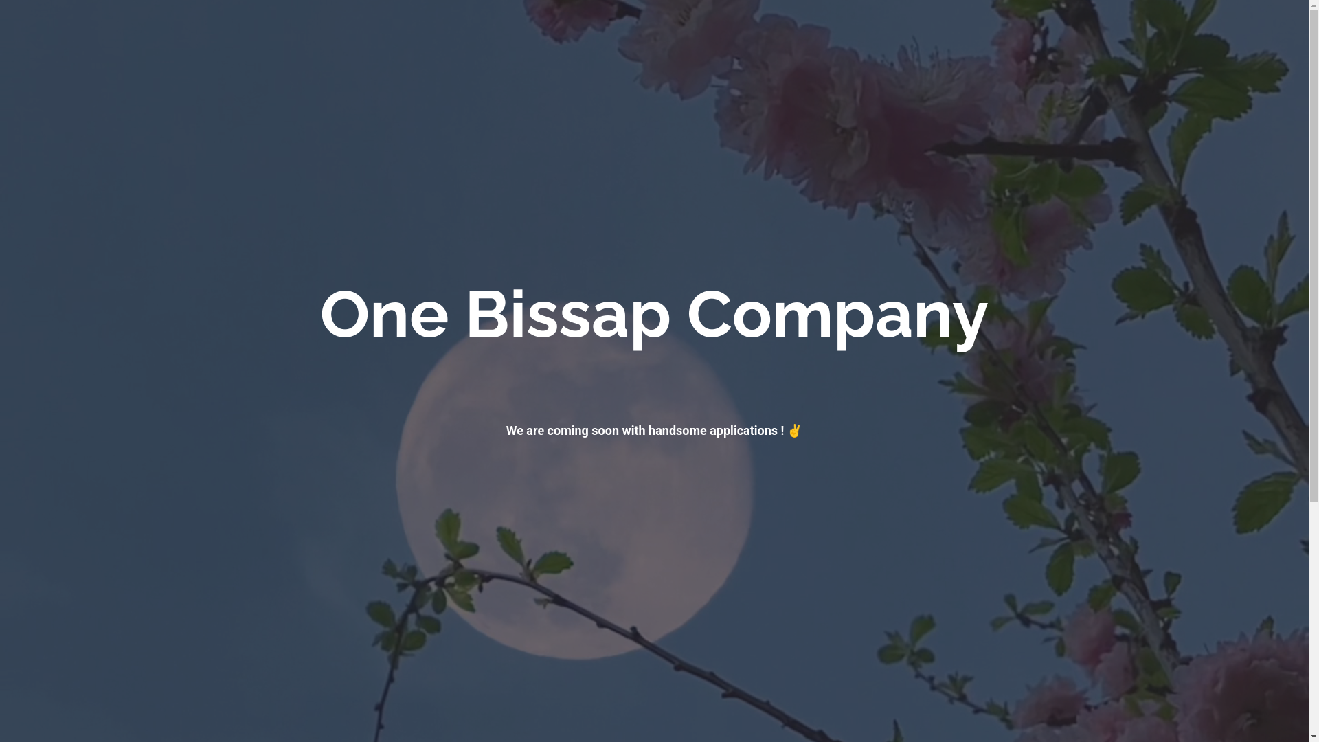 website screenshot of https://one-bissap-company.io/