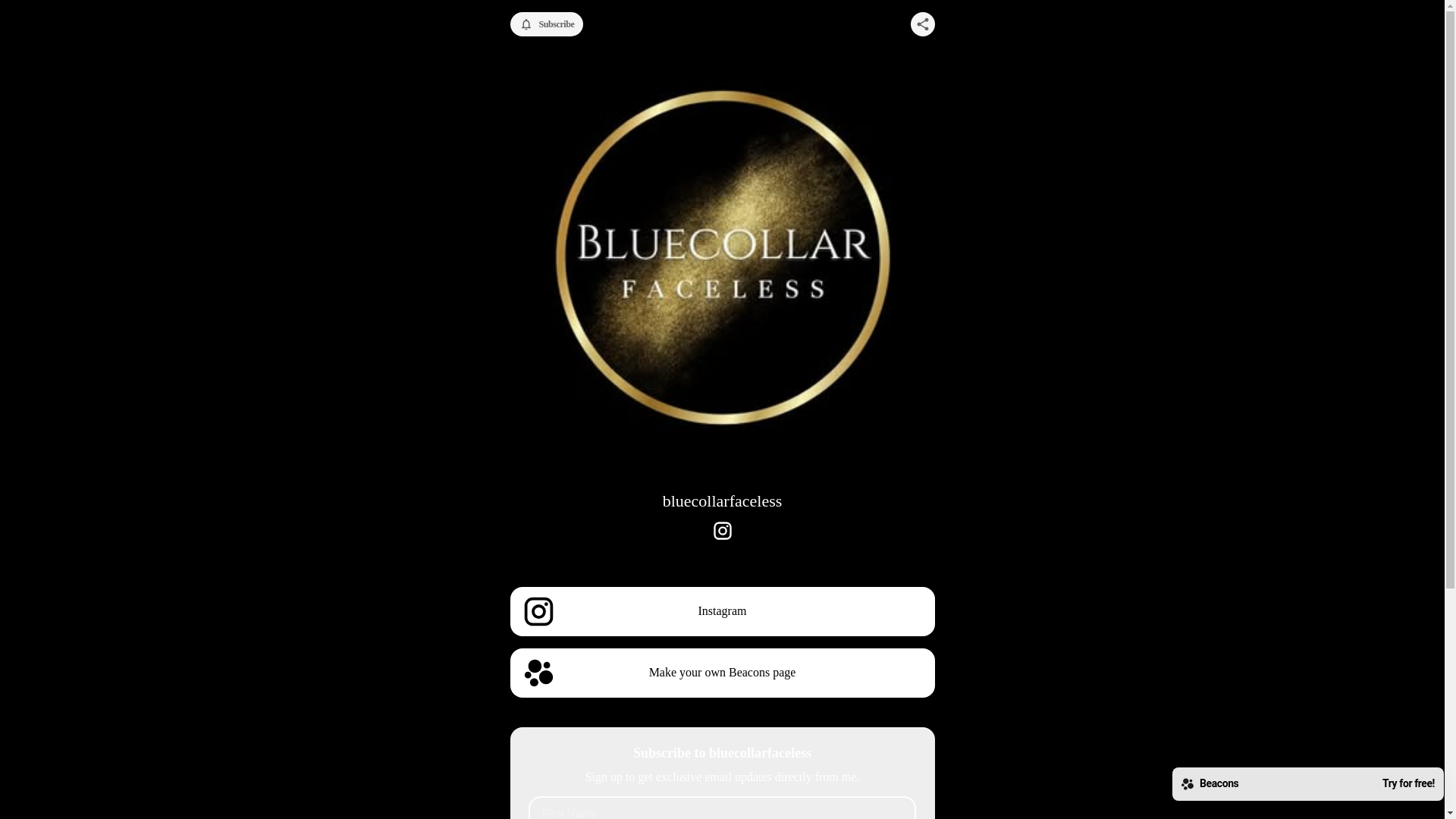 website screenshot of https://bluecollarfaceless.store/