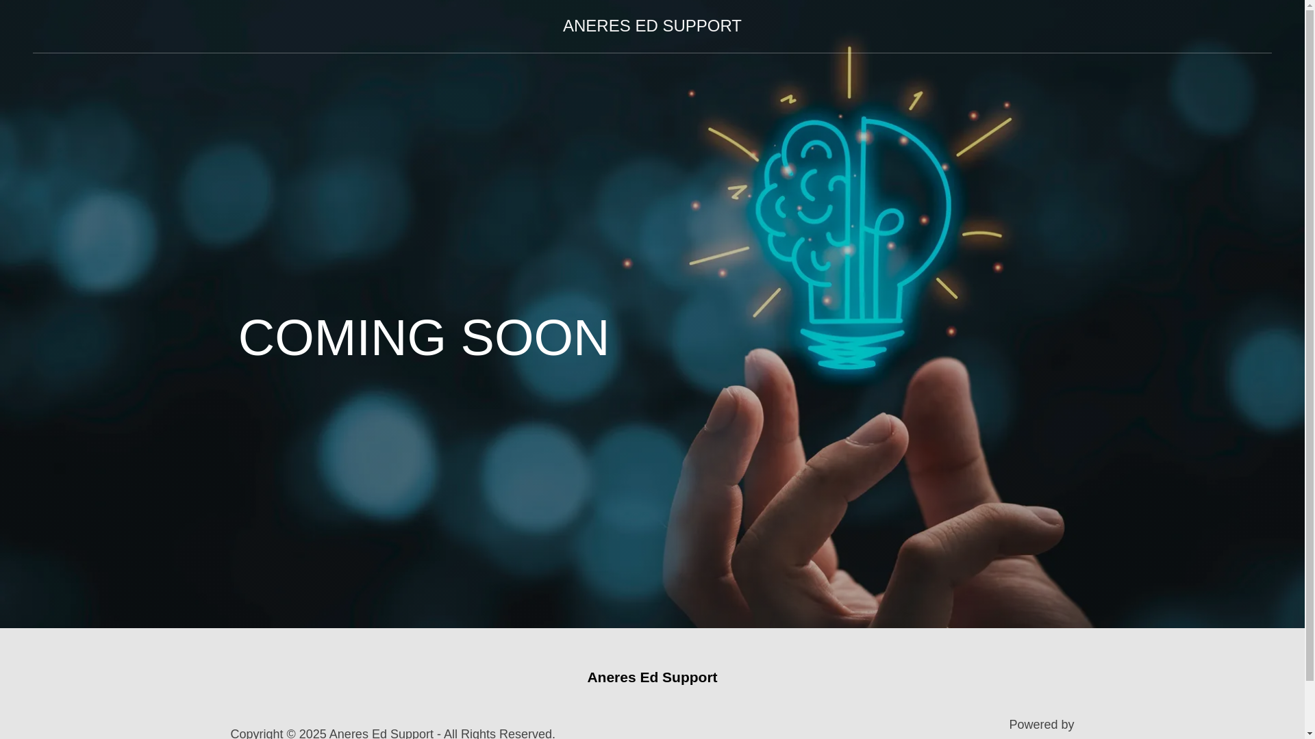 website screenshot of https://aneresedsupport.info/