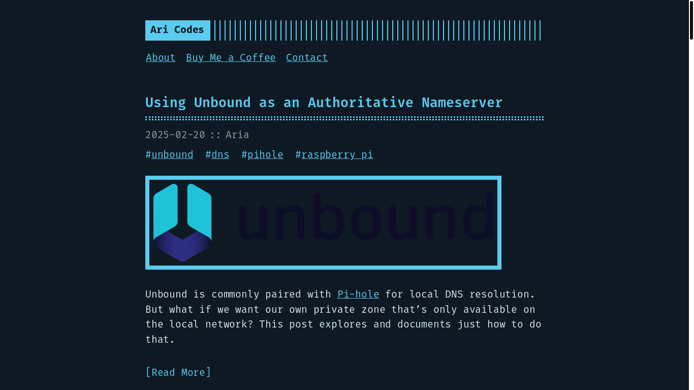 website screenshot of https://aricodes.pages.dev/