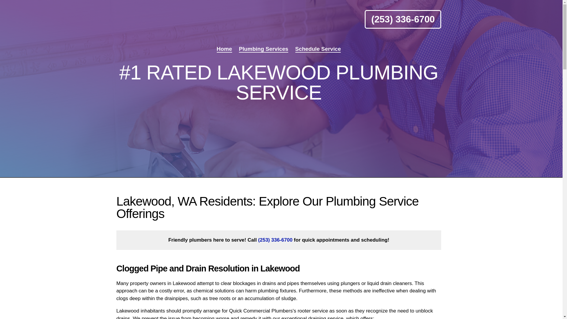 website screenshot of https://quickcommercialplumbers.pro/