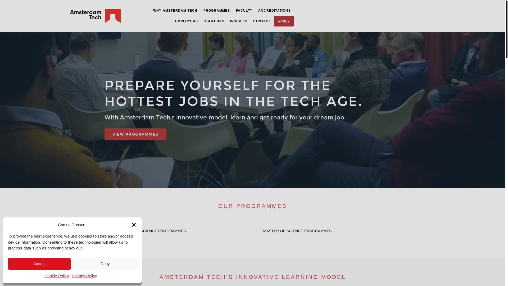 website screenshot of https://aweleslaiv.pro/