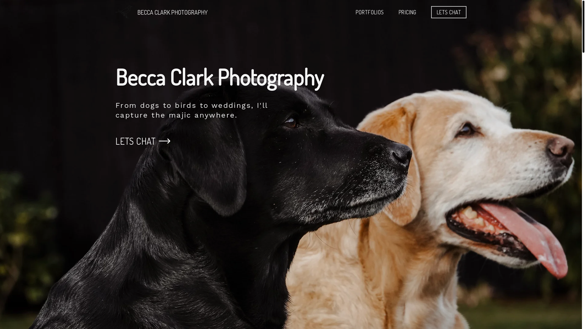 website screenshot of https://beccaclarkphotography.co.uk/