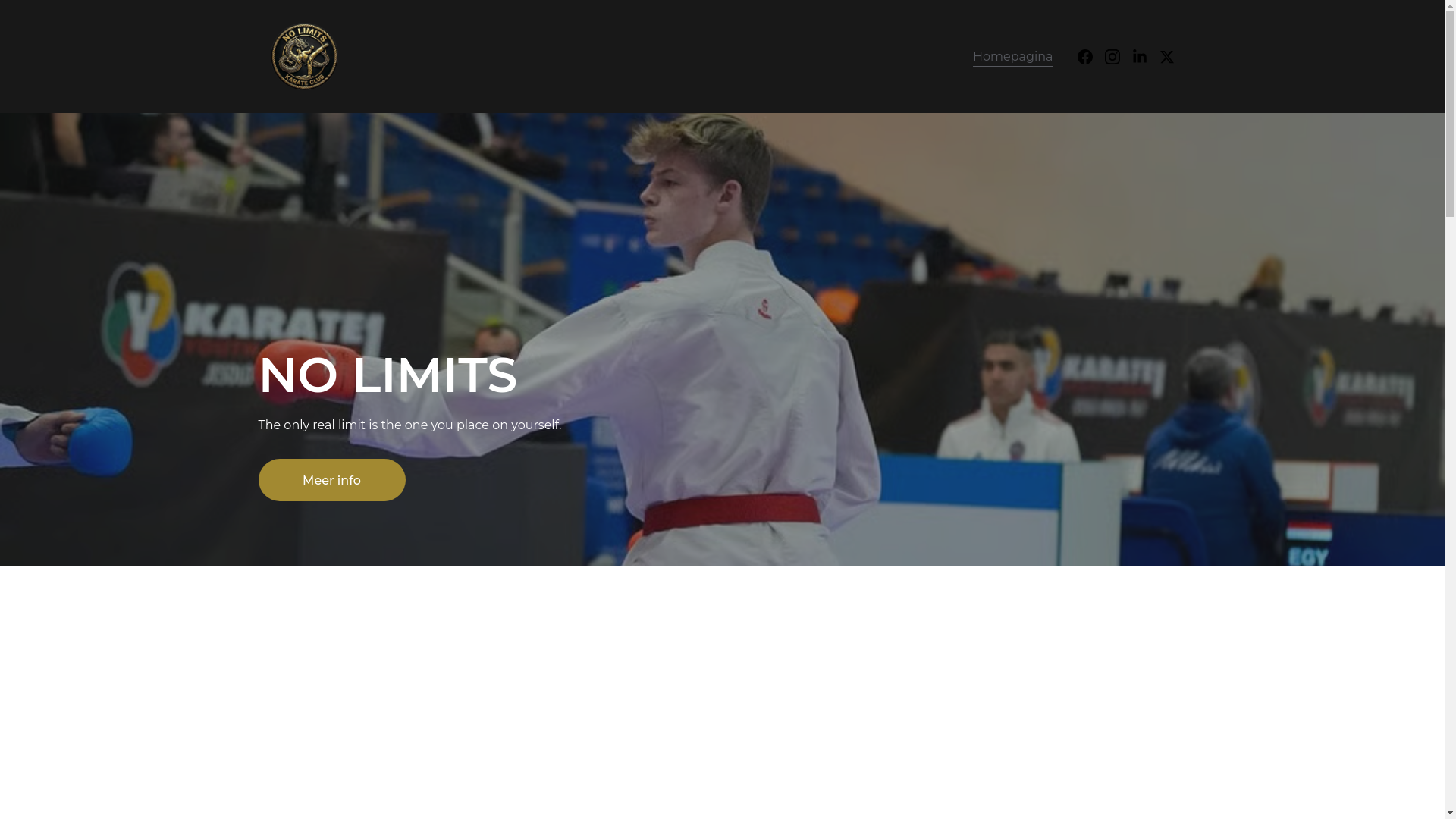 website screenshot of https://nolimits-karate.be/