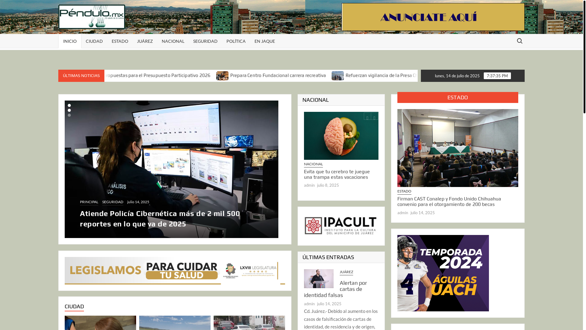 website screenshot of https://pendulonoticias.com.mx/