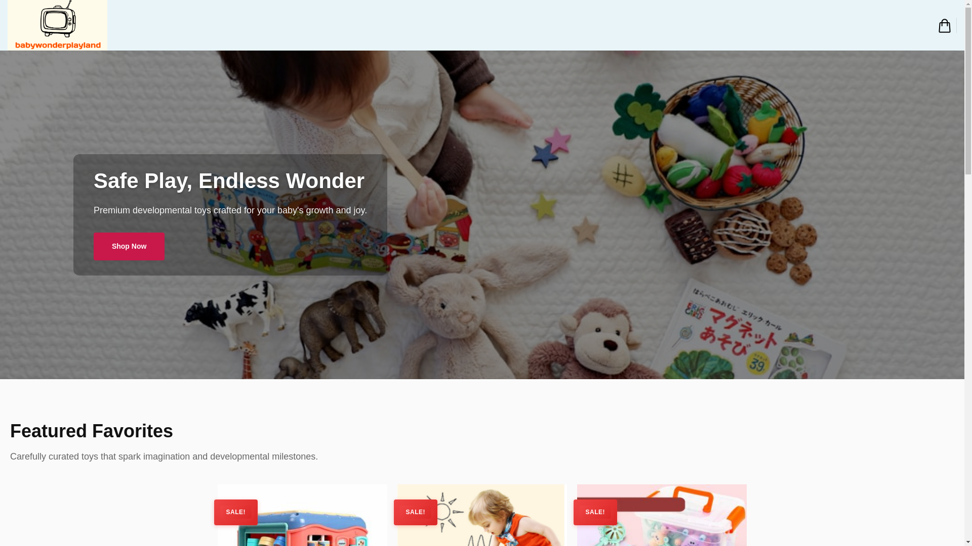 website screenshot of https://babywonderplayland.com/