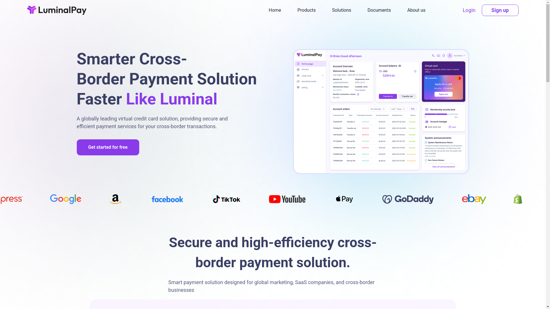 website screenshot of https://luminalpay.com/