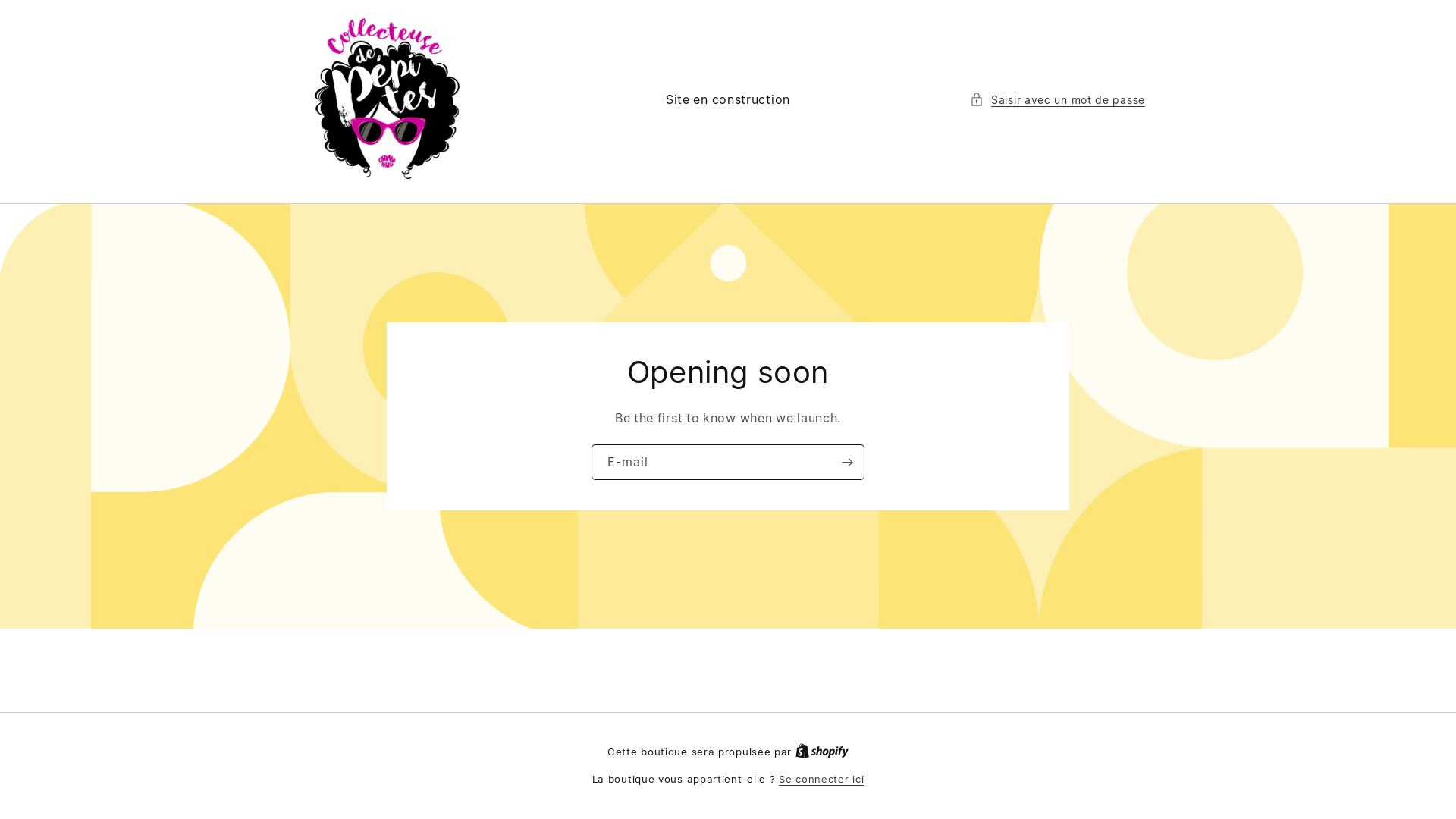 website screenshot of https://lacollecteuse.com/