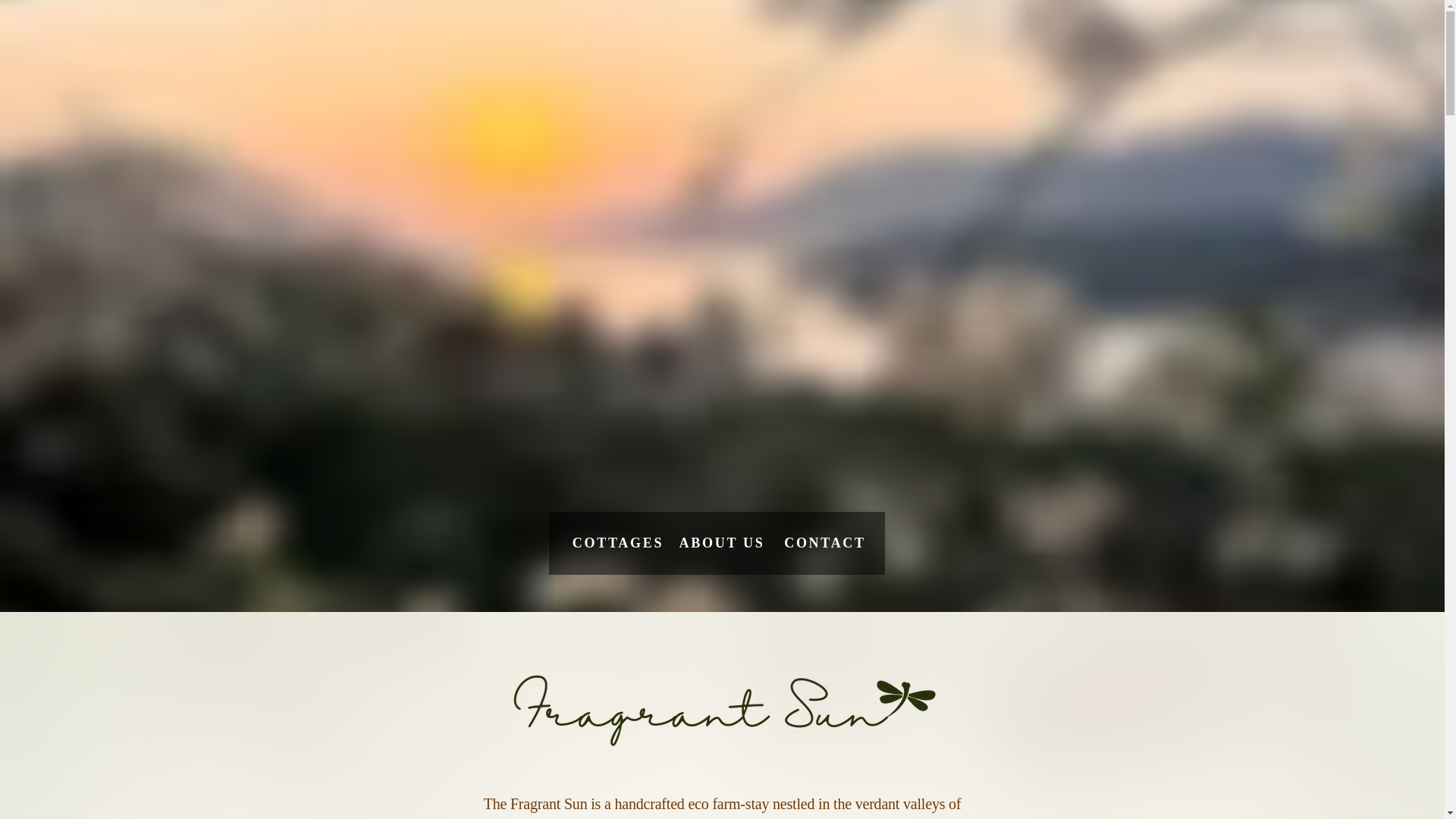 website screenshot of https://thefragrantsun.com/