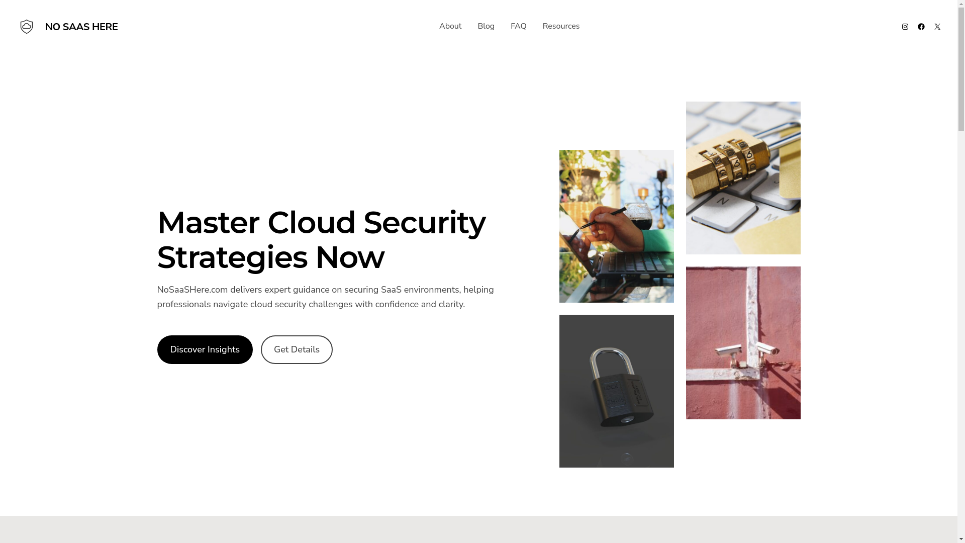 website screenshot of https://nosaashere.com/